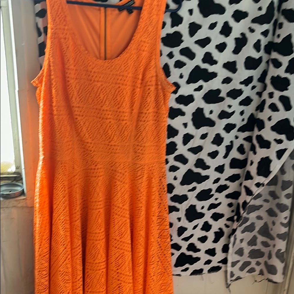 Express Orange High Low A-Line Dress